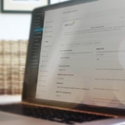Powerful Theme Options